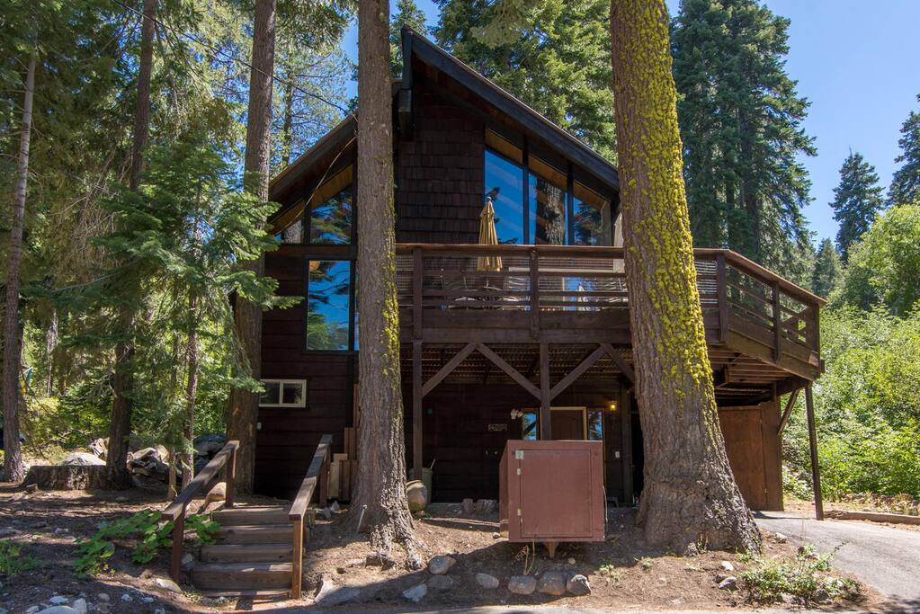 Building,Cabin,Shelter,Fir,Tree