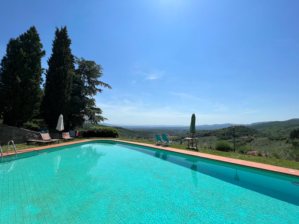 The large swimming pool is surrounded by olive trees, offering a panoramic view of the rolling hills. Sun loungers in light blue and white are positioned by the poolside. Tall trees and lush greenery provide a natural backdrop under a clear blue sky.