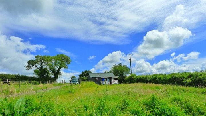 Tin Haven Writer’s photo 4