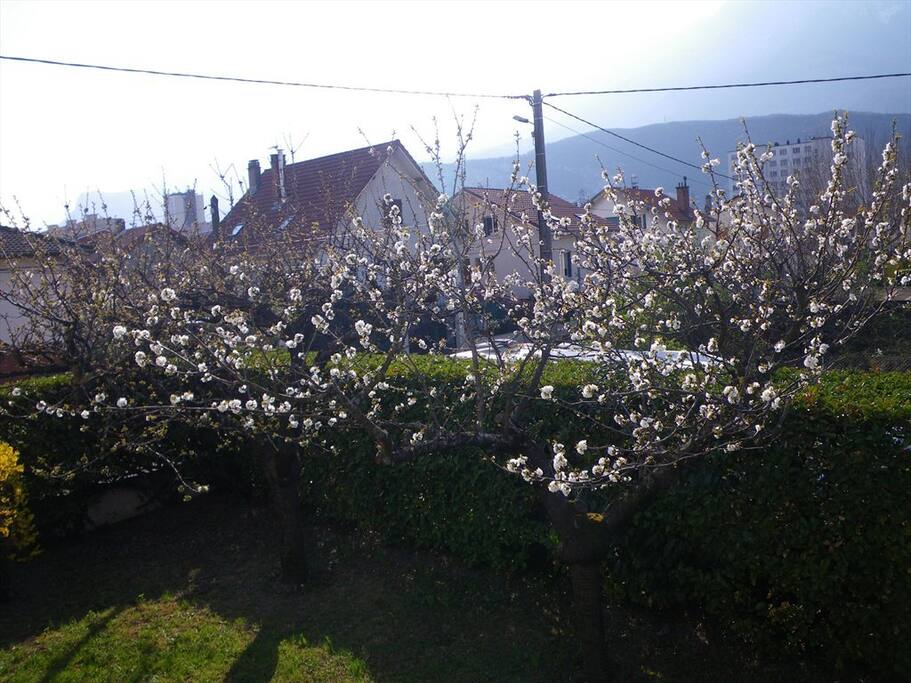 Jardin