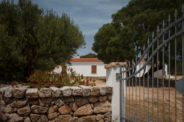 Countryside House Near The Sea - Arzachena