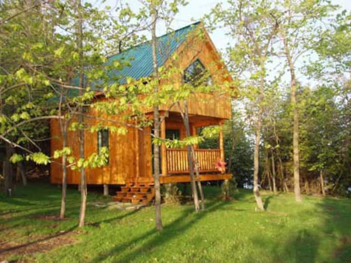 Stunning Lakeside Cabin/ No Blackflies Islands for Rent in Roseneath