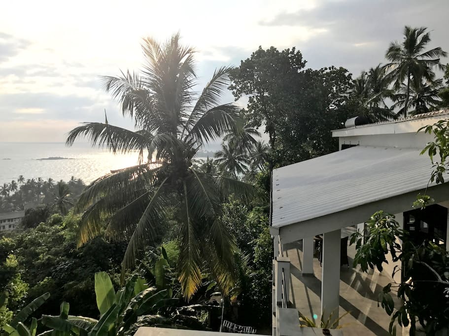 APARTMENT VIEW