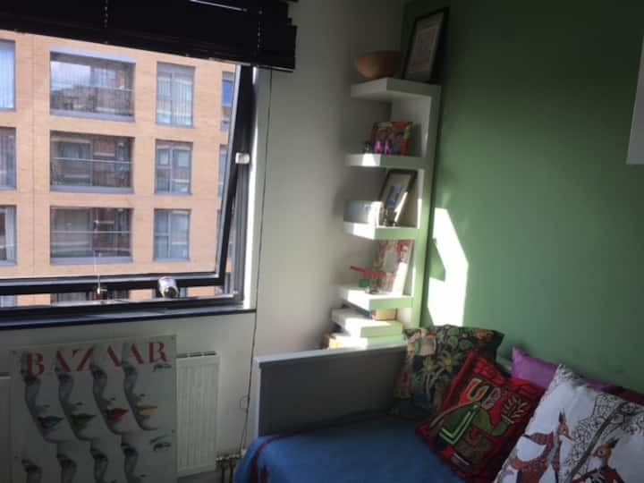 Pimlico flat