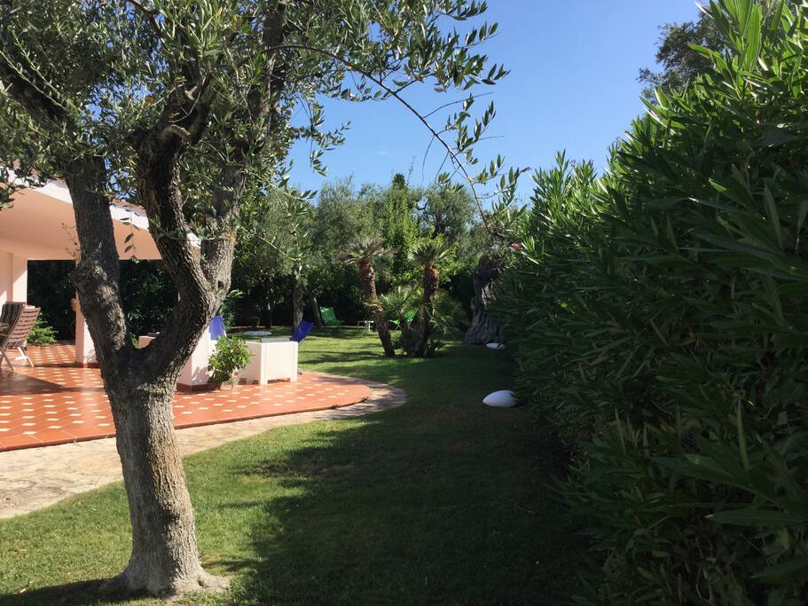 garden