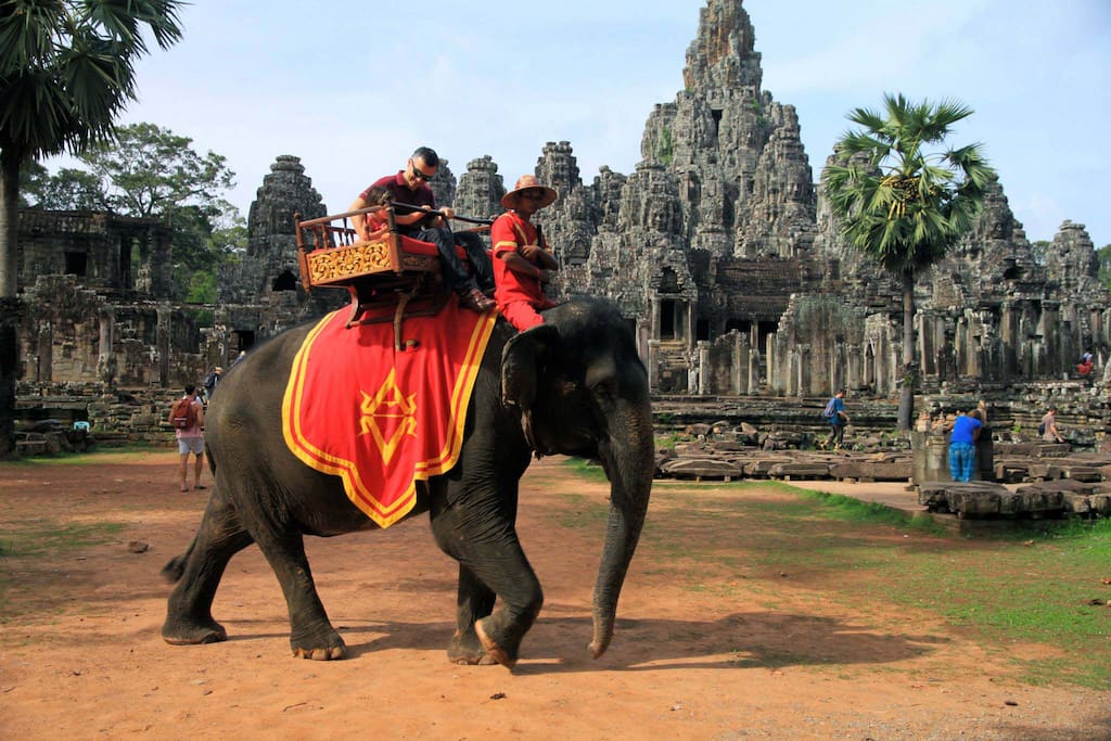 Elephant Ride