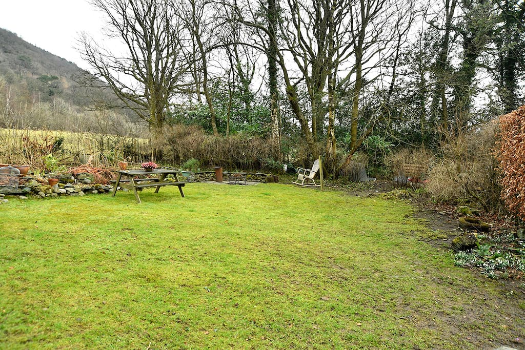 The garden in winter
