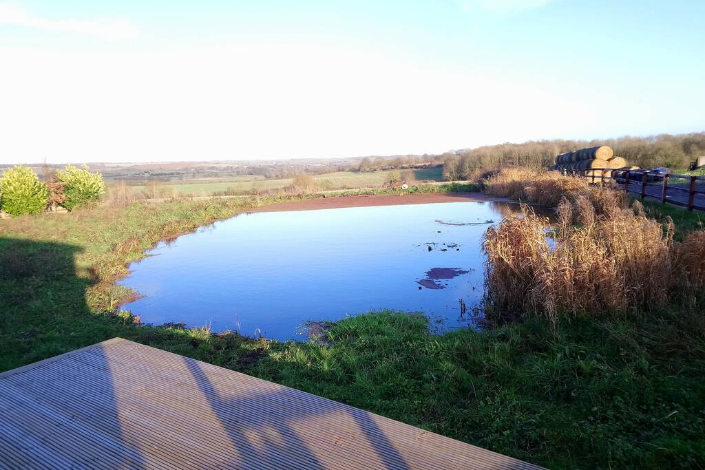 view from the log cabin over the pond