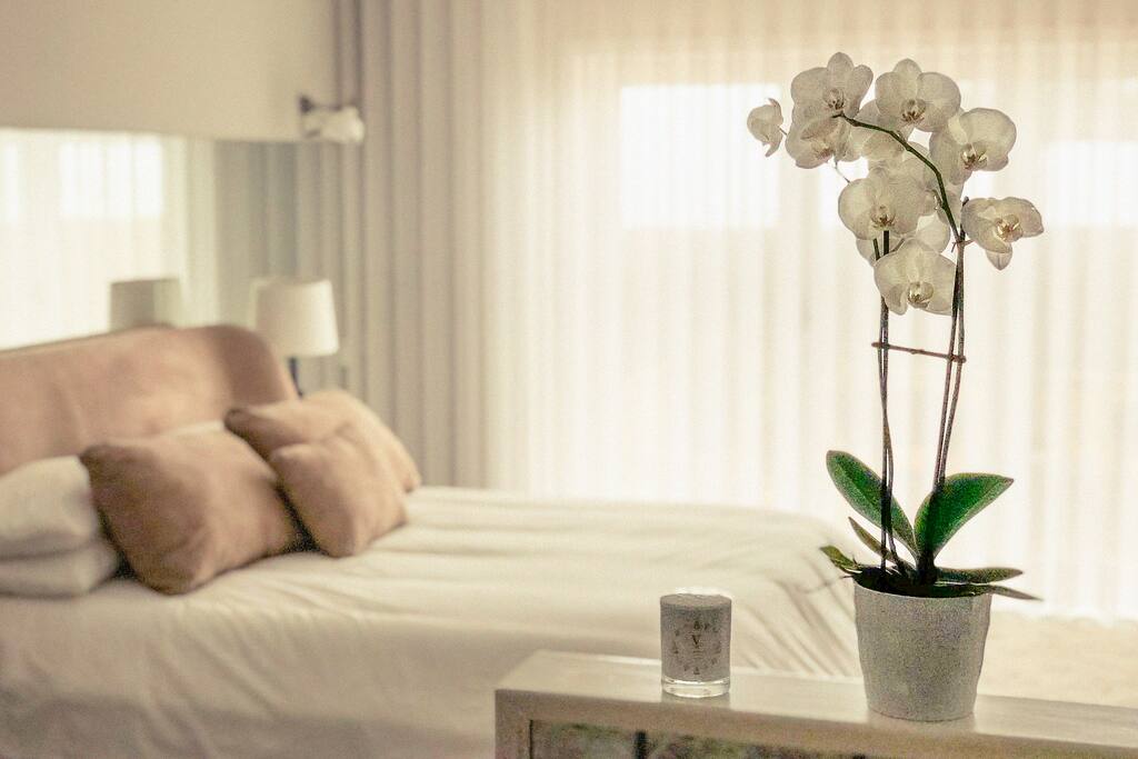 Beautiful apartment near Oporto...