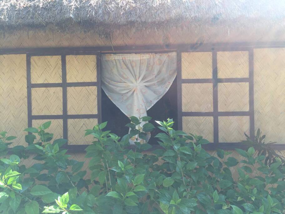The view from the outside of the bungalow.