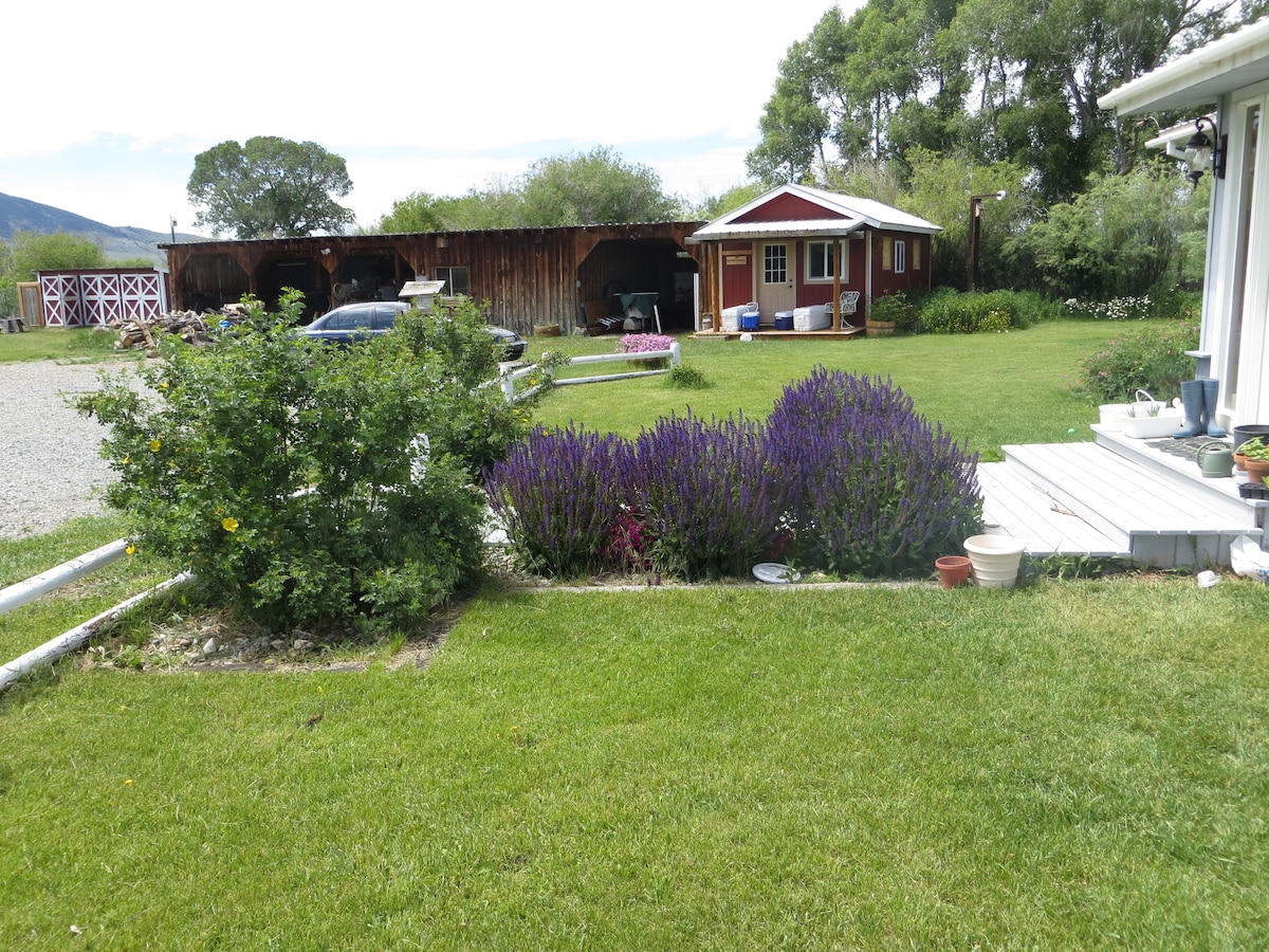 A well-maintained outdoor space features a vibrant green lawn bordered by blooming lavender plants. In the background, a rustic barn and a charming red building are visible, surrounded by trees. White pathways lead towards the red building, enhancing the inviting rural atmosphere.