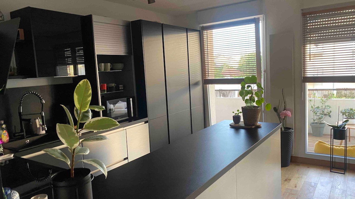 A modern kitchen features sleek black cabinetry and a spacious countertop. Natural light pours in through large windows, adorned with blinds. Potted plants and decorative items are placed on the counter, adding a touch of greenery, while views of the outdoors are visible through the glass door.