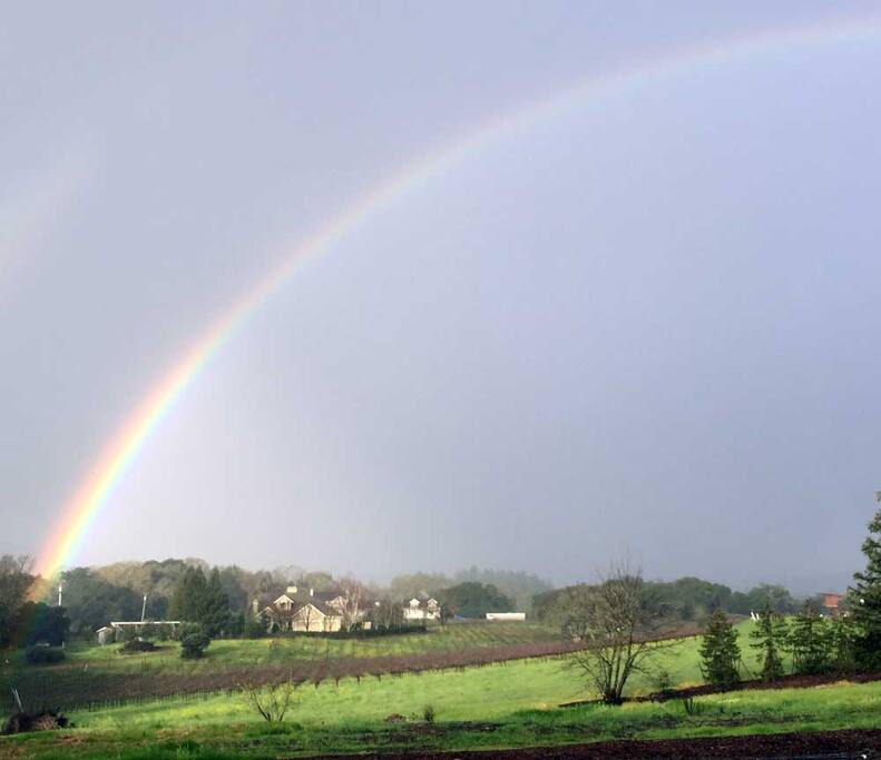 A rainbow over the Grape Escape