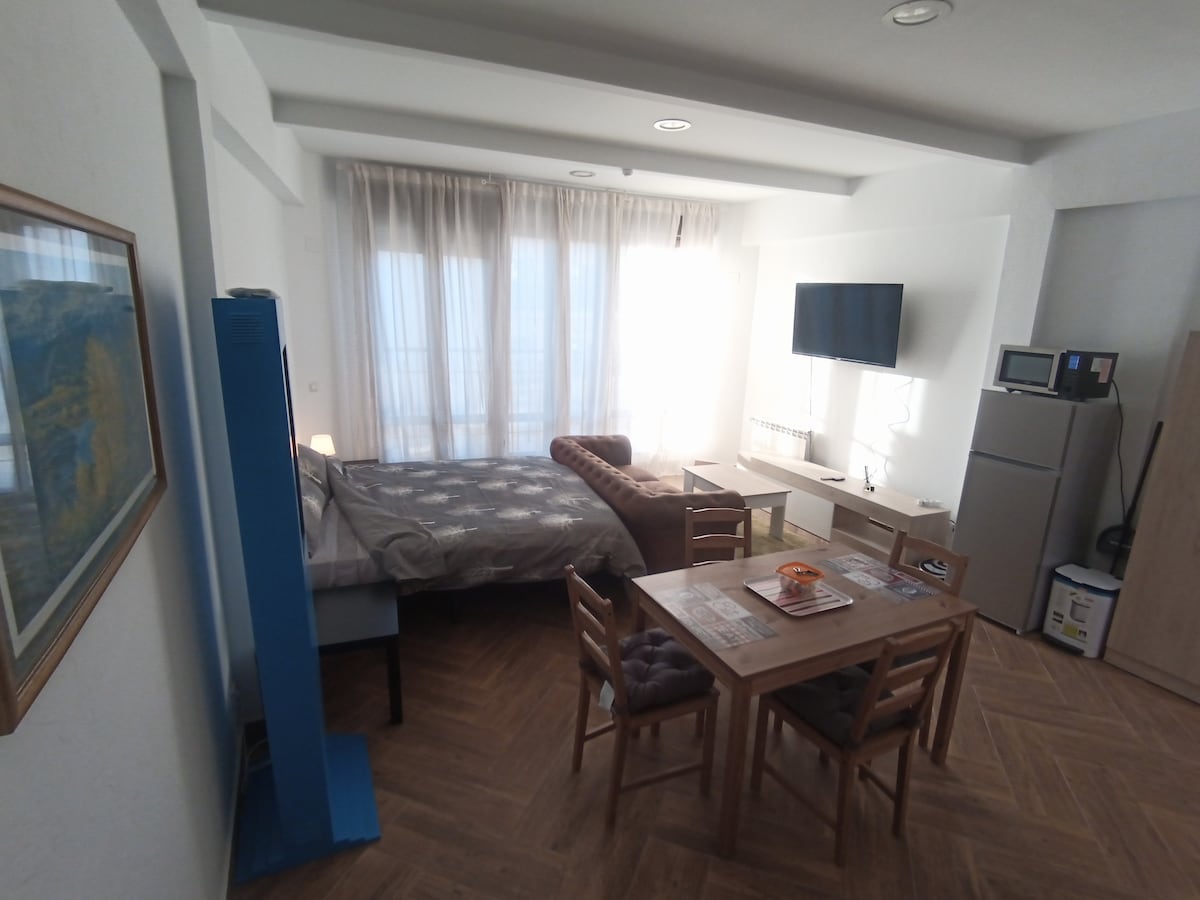 A bright studio space is illuminated by natural light from large windows. The area includes a spacious bed, a welcoming sofa, a table with four chairs, and essential appliances such as a refrigerator and a microwave. A soft color palette enhances the room's tranquil atmosphere.