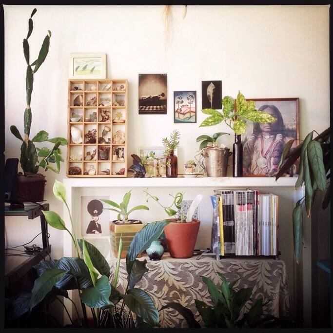 Central highlight of the room. Nature inspired mantle piece and magazine hub.