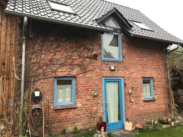 Cozy holiday home at Müritz National Park