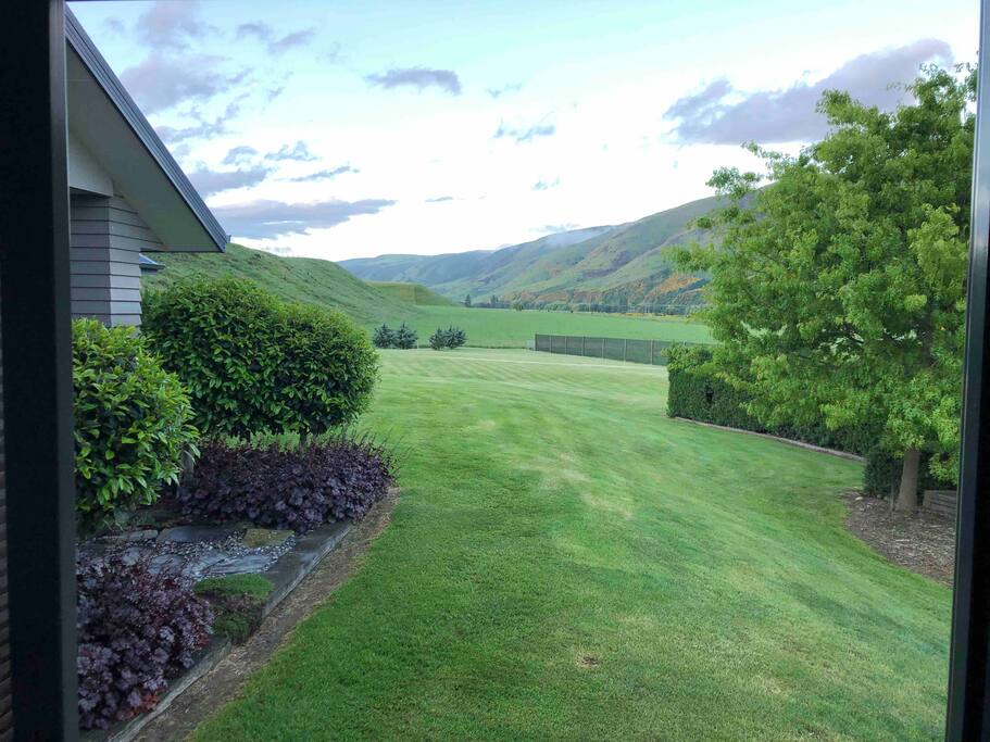 View from your room