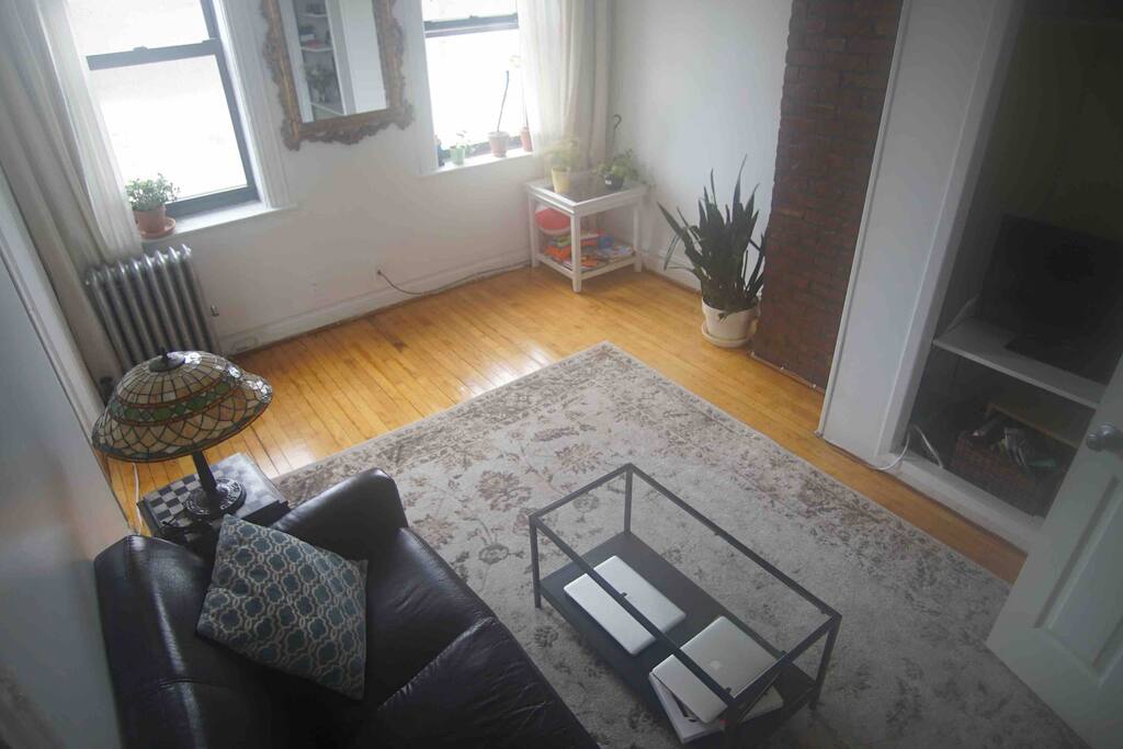 Living room. Comfy couch.