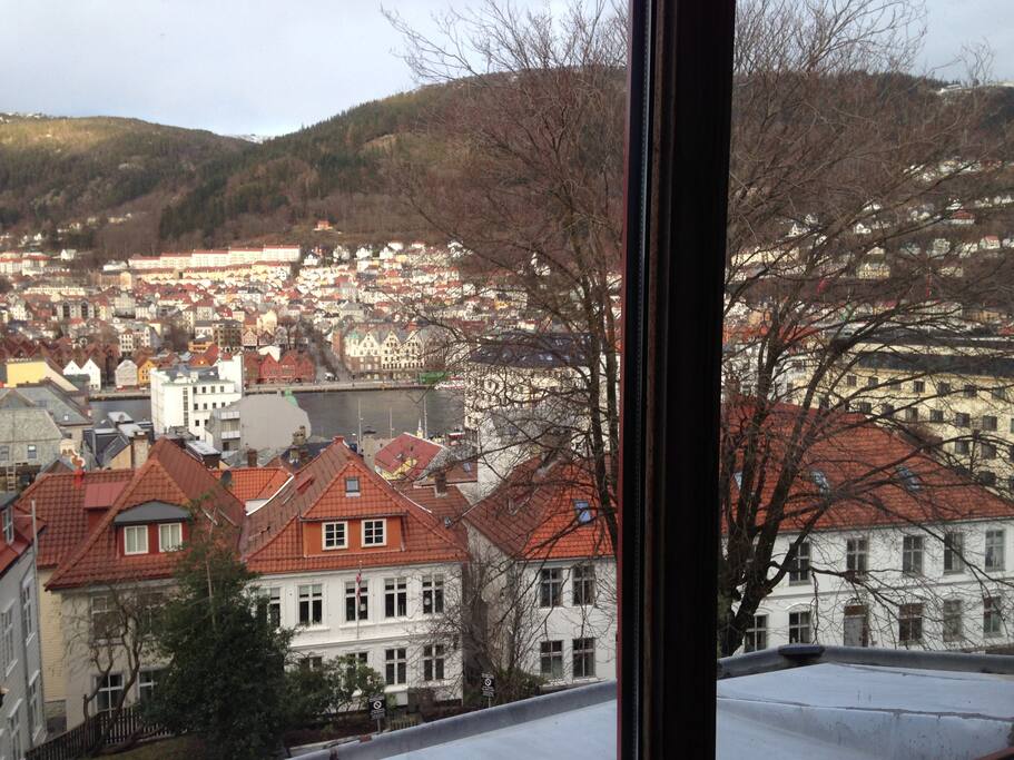 view from the bedroom window