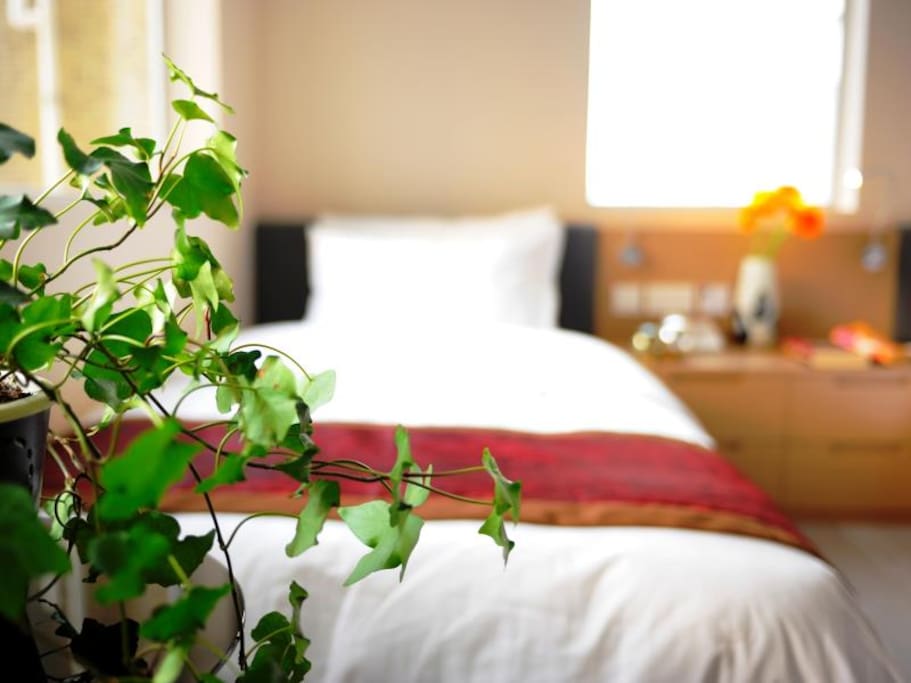Premier Twin Bed Room