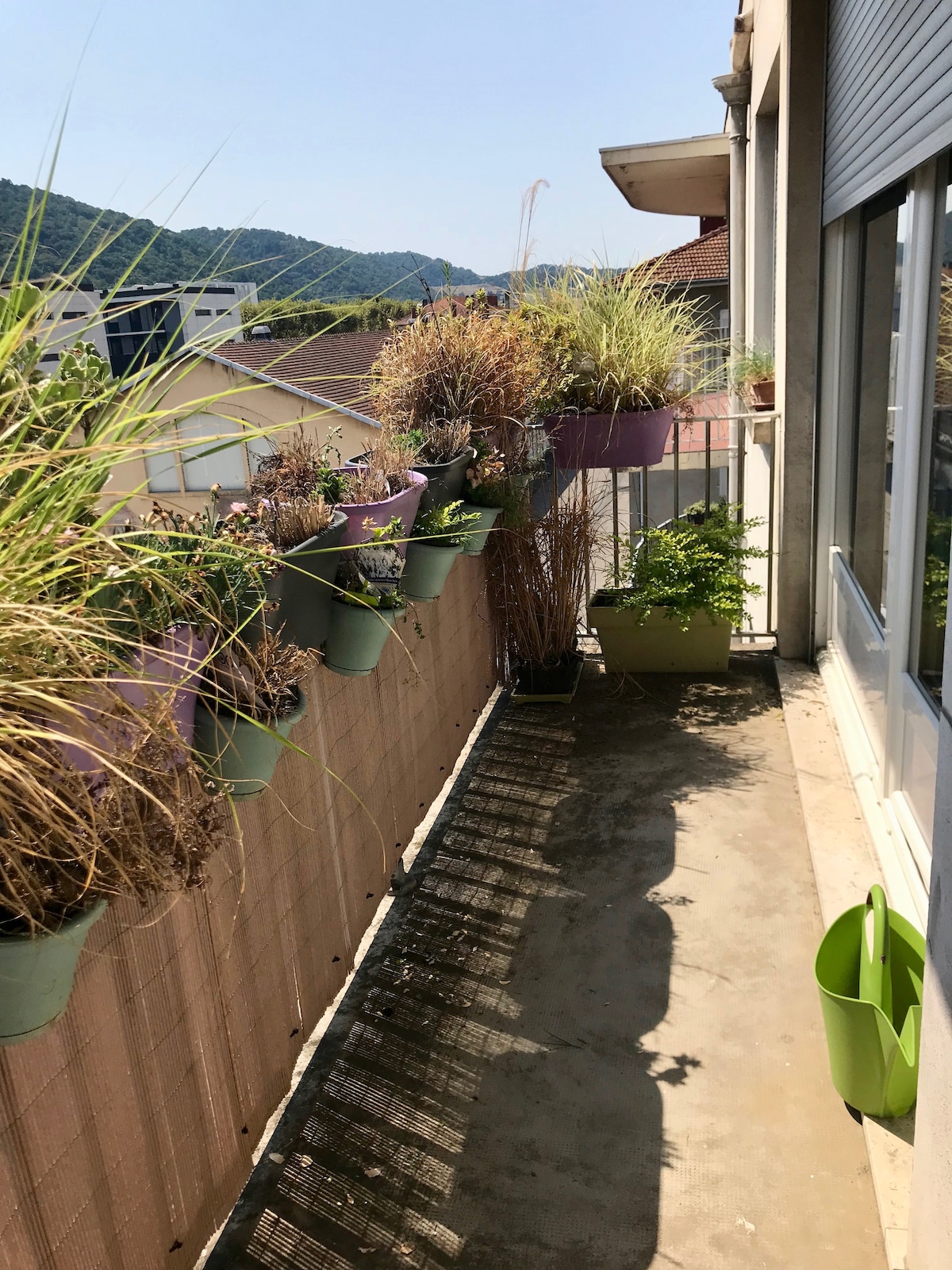 A balcony is shown adorned with various planters filled with greenery. Sunlight casts shadows across the concrete floor, highlighting the vibrant plants. The surrounding mountains are visible in the background, contributing to a serene outdoor space.