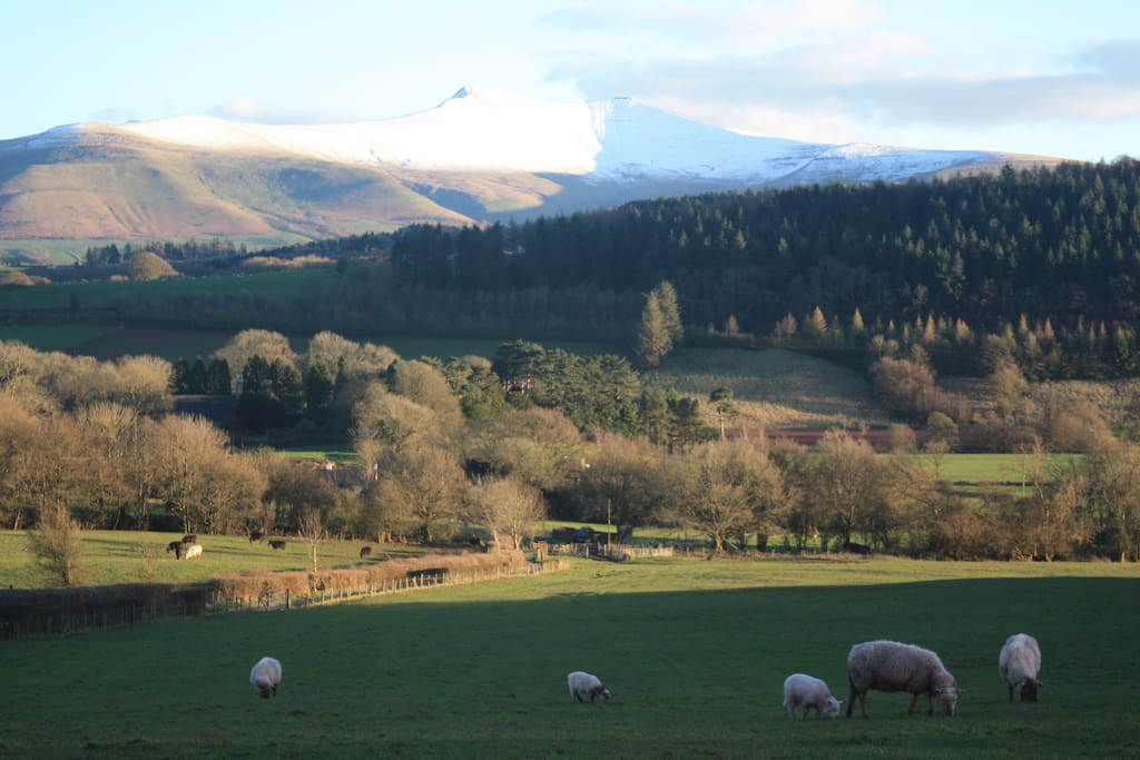 A snowy Pen-y-Fan this March.