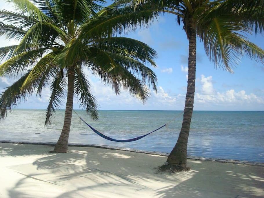 Plenty of hammocks and chairs for relaxing.