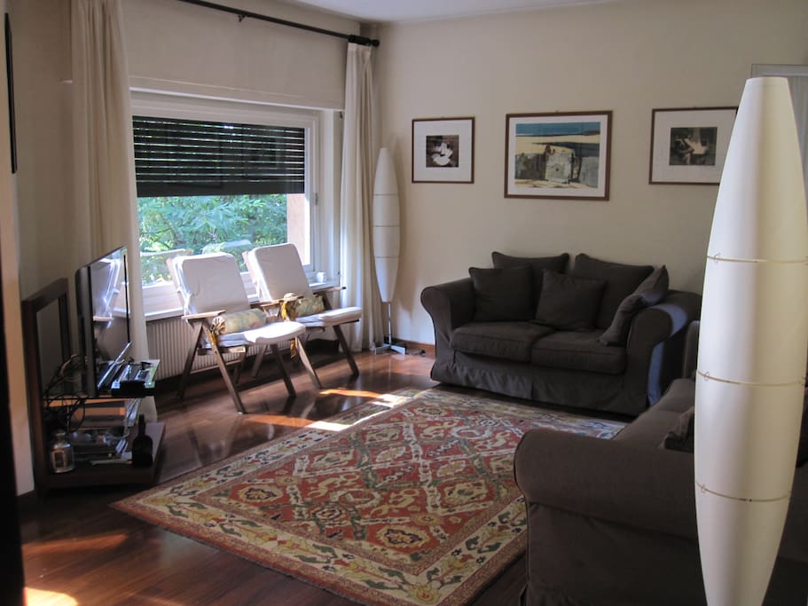 Sala televisione con vista sul bosco