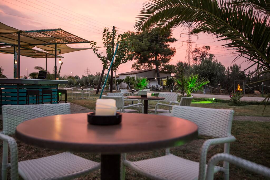 Garden during sunset