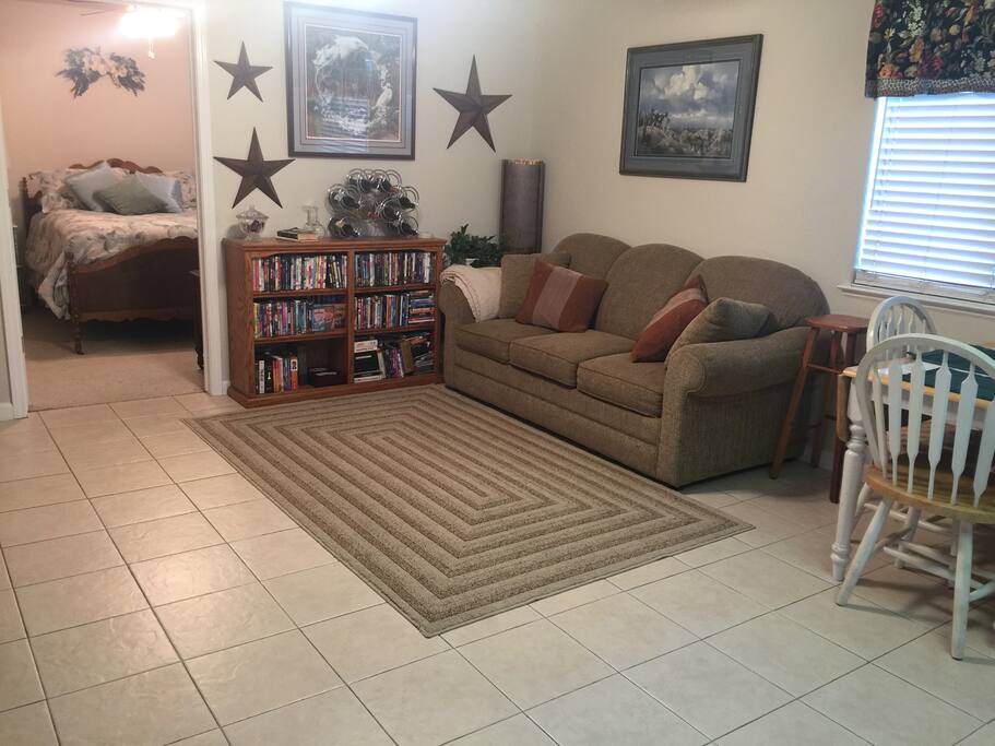 Living room with a pull out hideaway bed