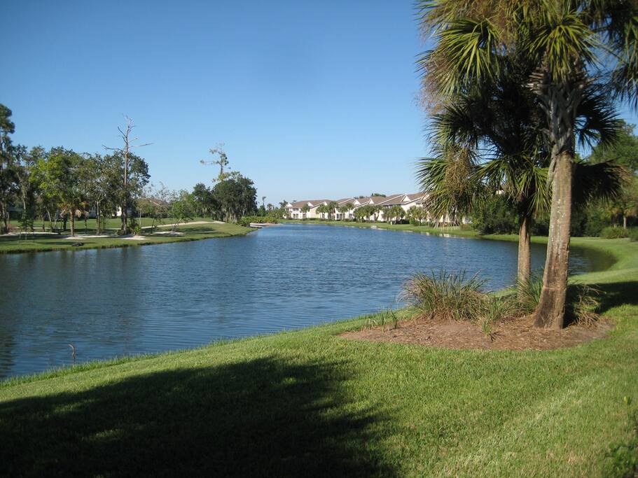 Tranquil setting
