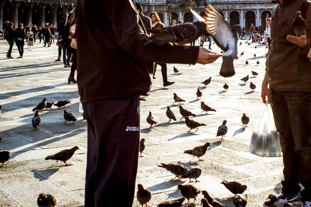 Photo of San Marco in San Marco