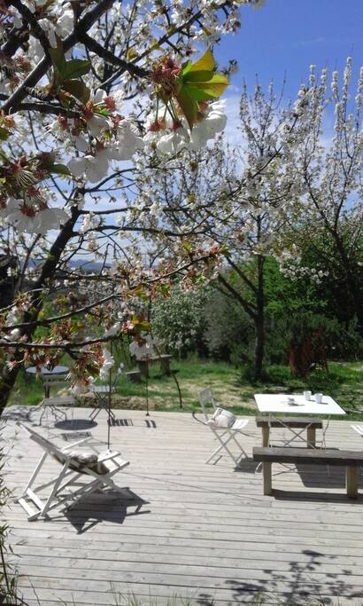la terrasse