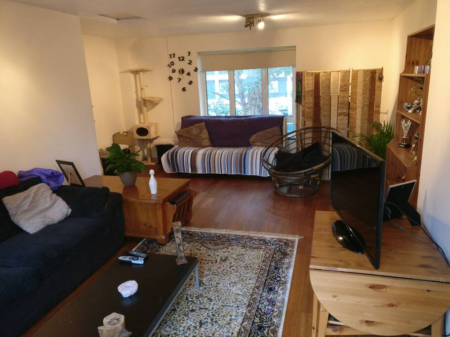 Living room with sofa bed