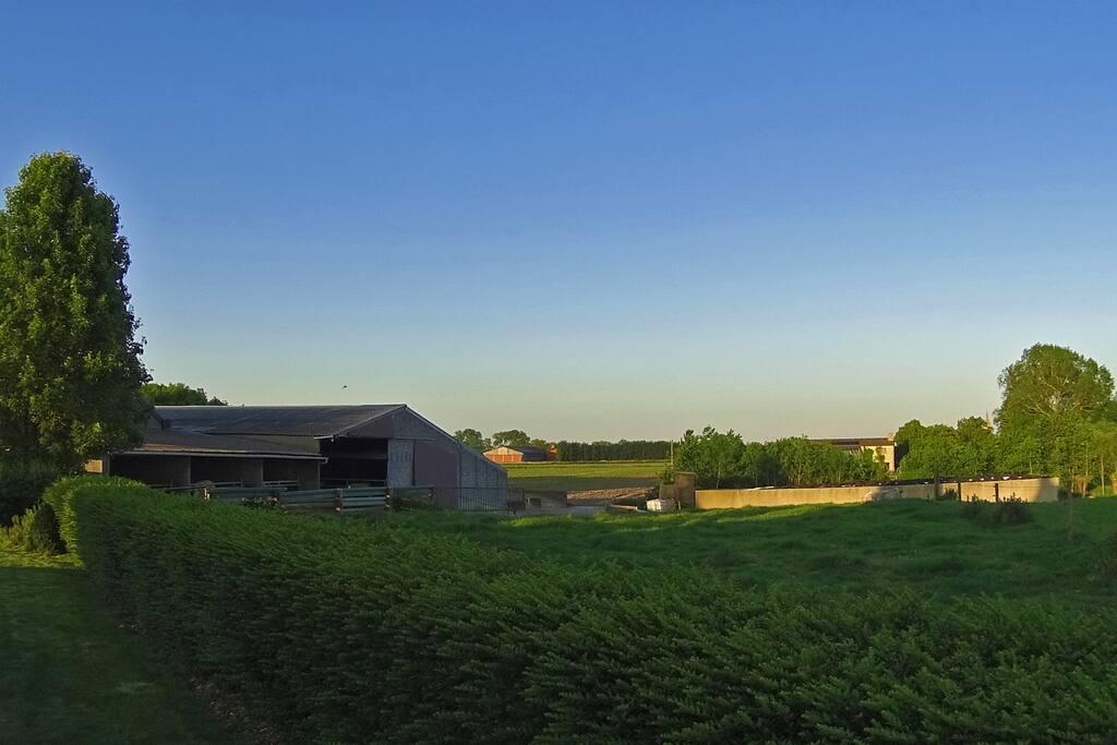 de boerderij