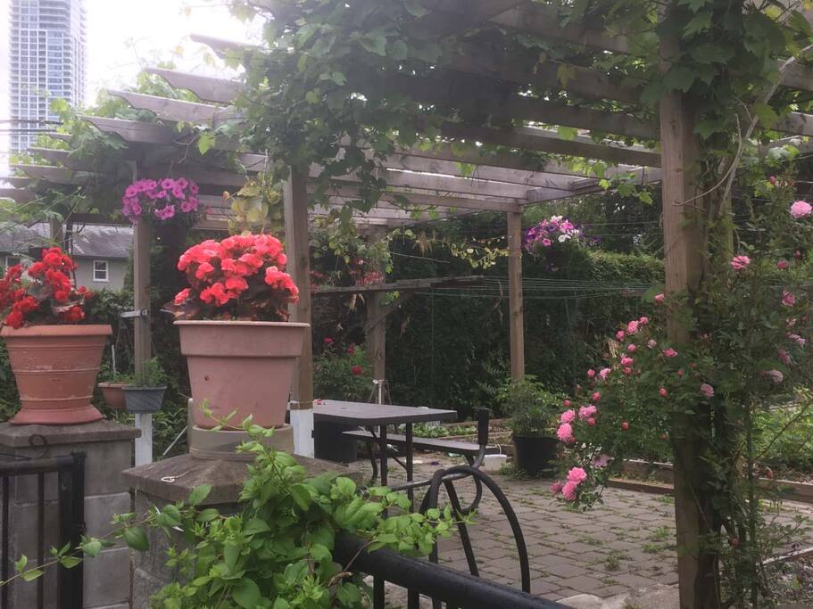 Front Yard Garden