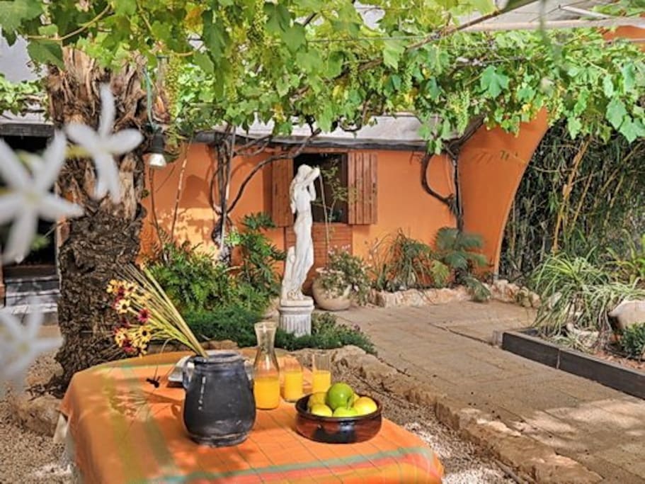 the garden