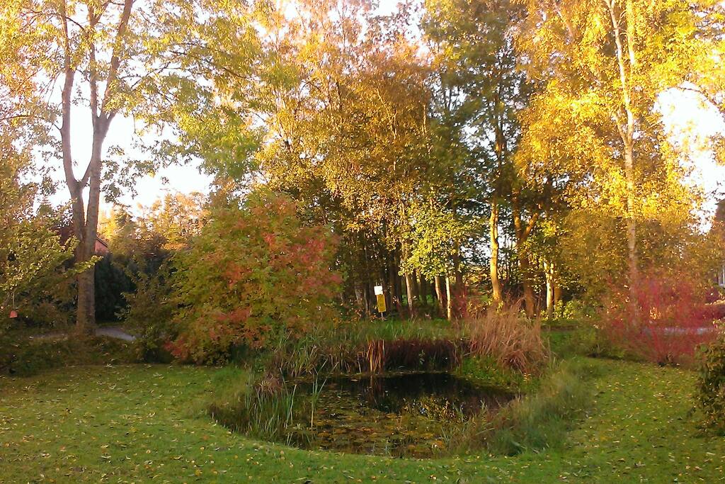 zu jeder Jahreszeit hat der Garten seinen Charme