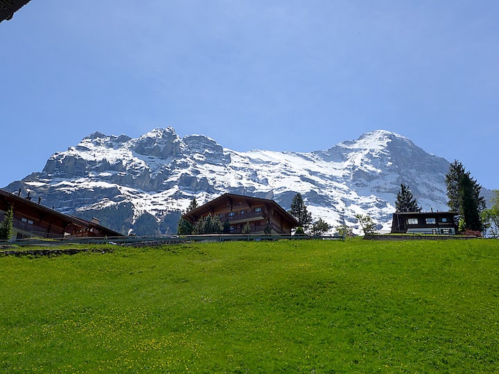 Next to Eiger, Jungfrau! Amazing! Apartments for Rent in Grindelwald