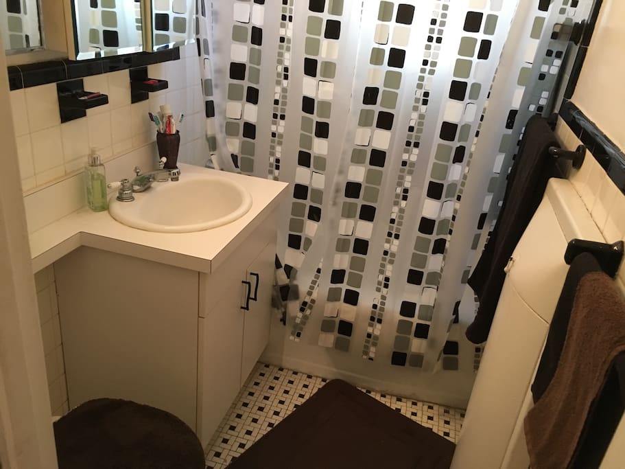 Bathroom with rainfall shower-head and full bathtub for those that need to relax after spending time out in the Big Apple! There are first aid supplies such as band aids, Neosporin, and alcohol in the cabinets.