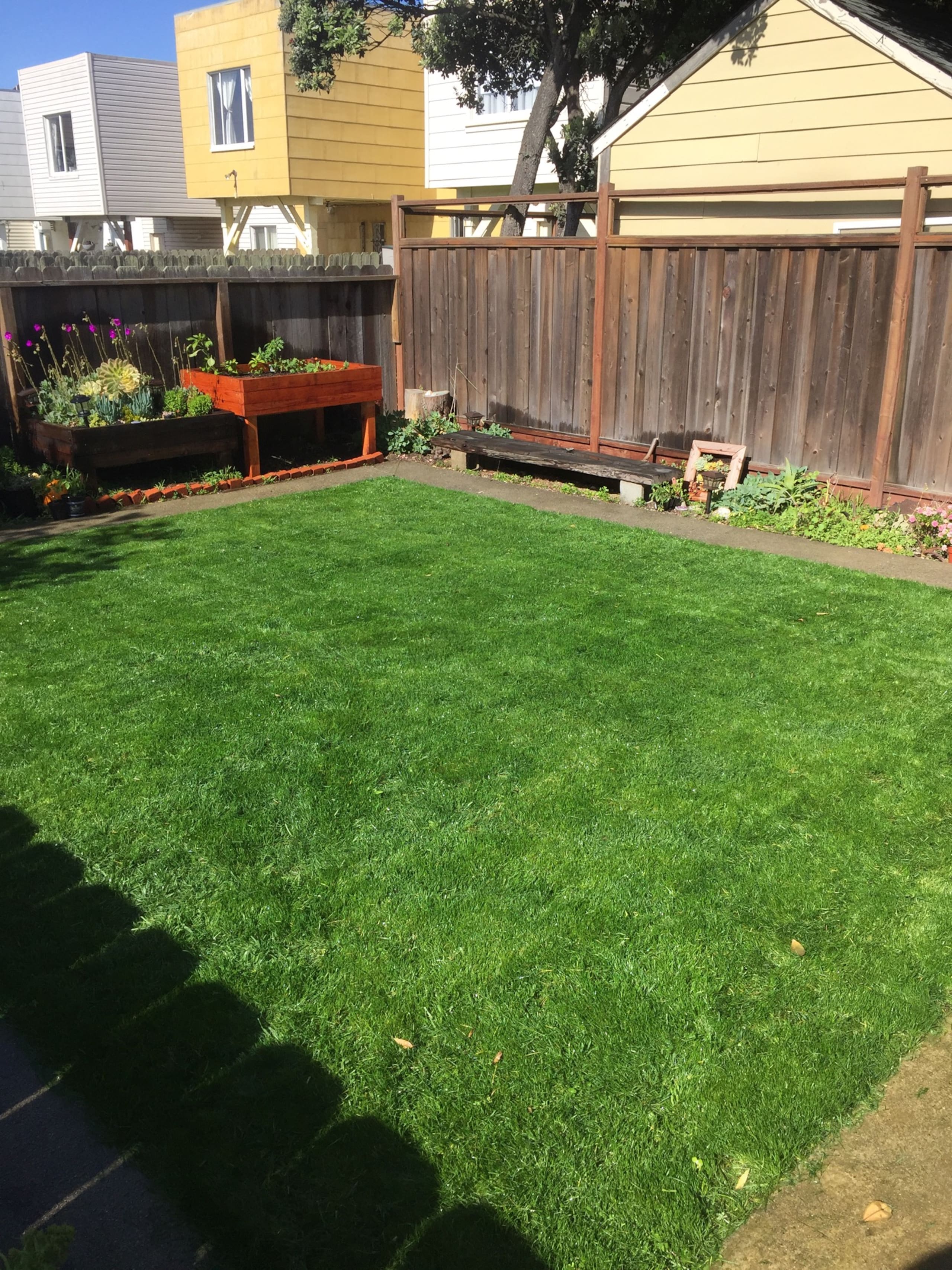 Home in San Francisco · ★4.89 · 2 bedrooms · 3 beds · 1 bath - Image 37