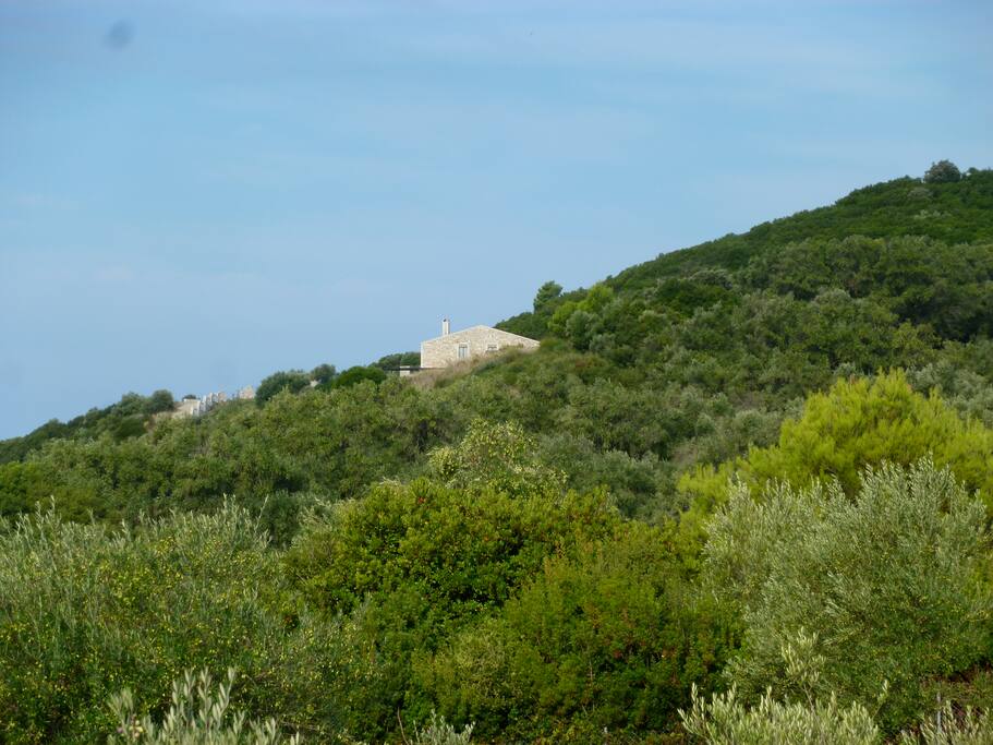 Hidden in the hills