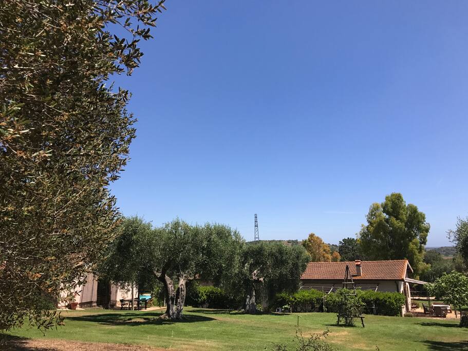 Main house plus guest house