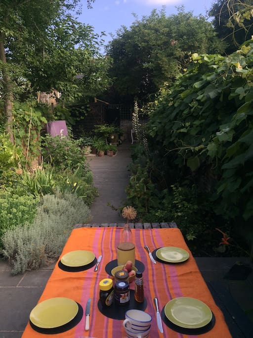 summer breakfast