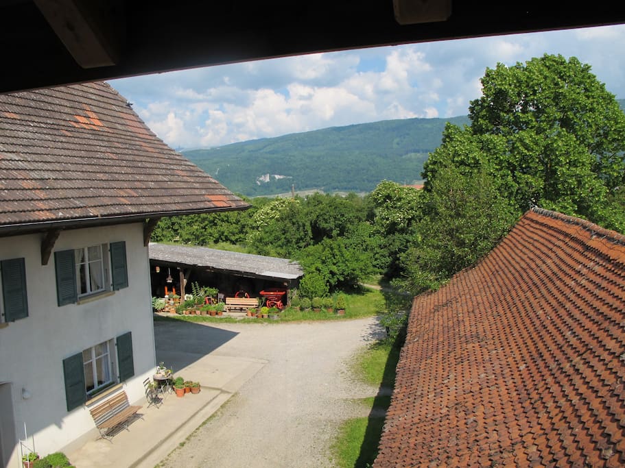 Aussicht vom Balkon