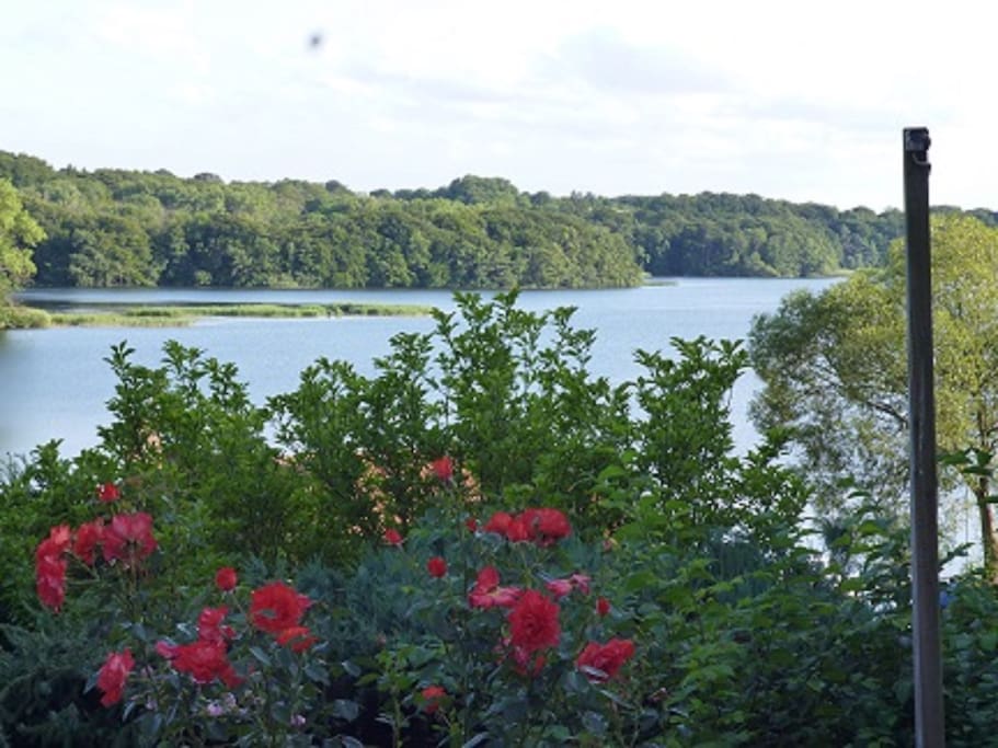 Blick auf den See