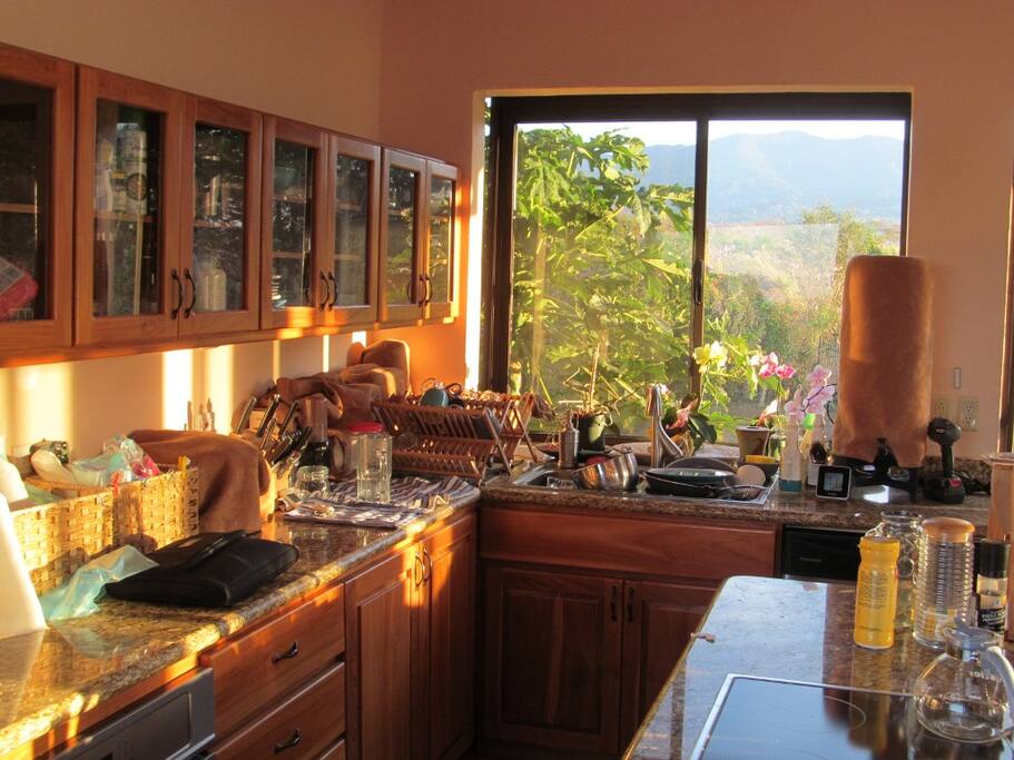 Gourmet kitchen with all teak cabinets, fully equipped