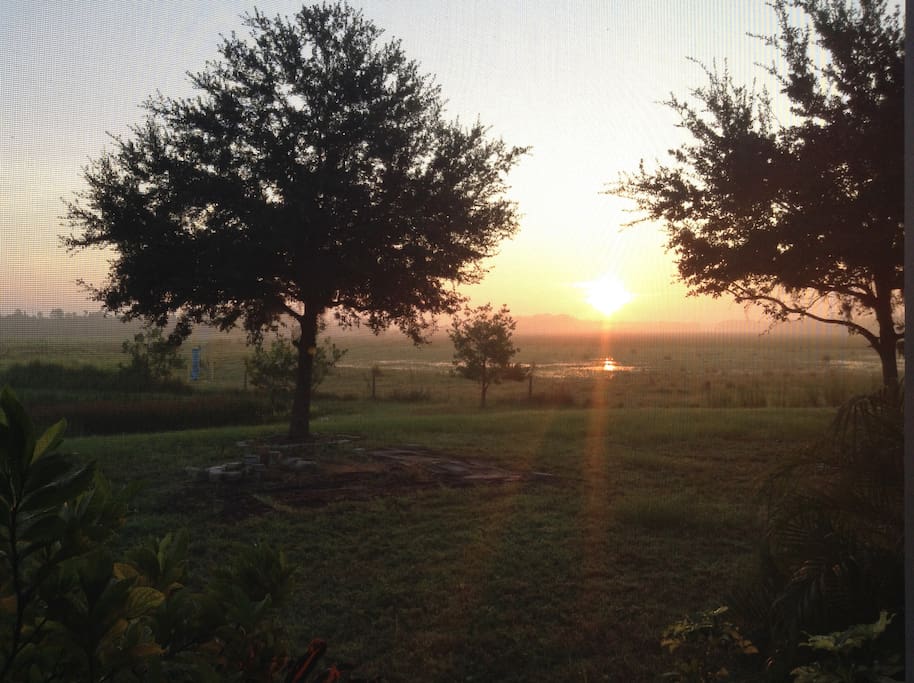 Sunrise in the beautiful backyard, view from the porch.