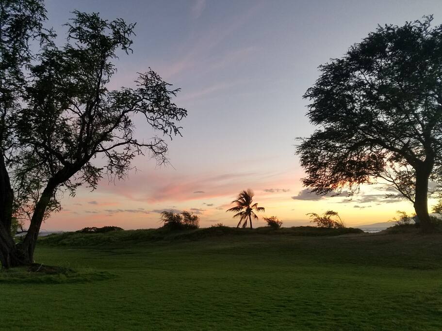 Spacious beach park across the street is perfect for watching sunsets.
