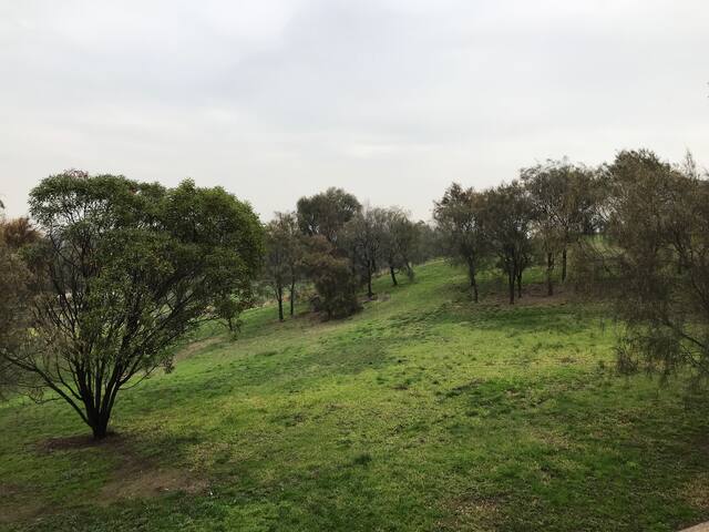 Inside a park. City views, Espresso, bikes sleep 7 gallery image 4